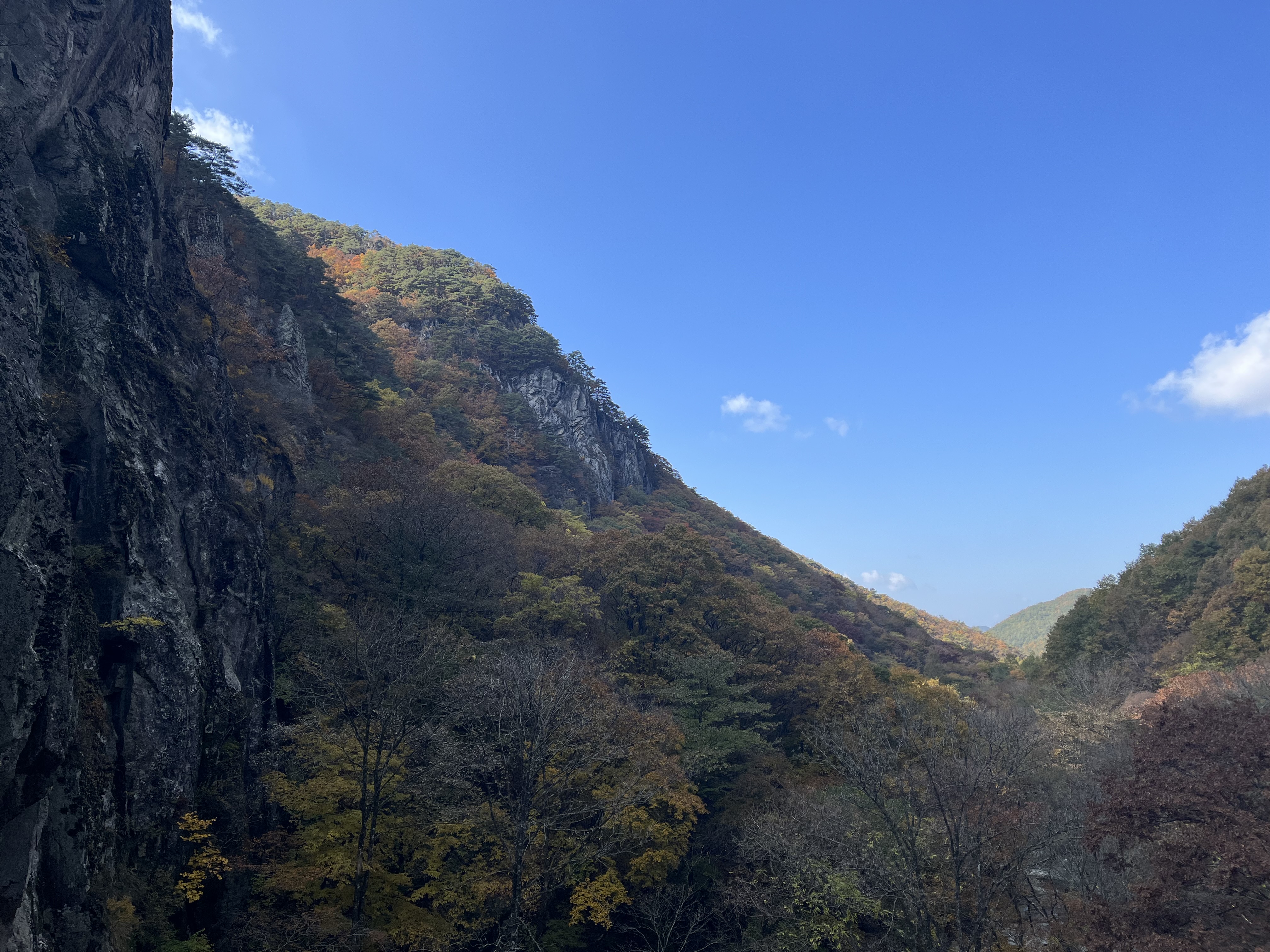 첨부파일