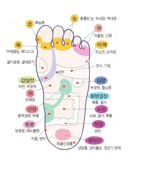 첨부파일