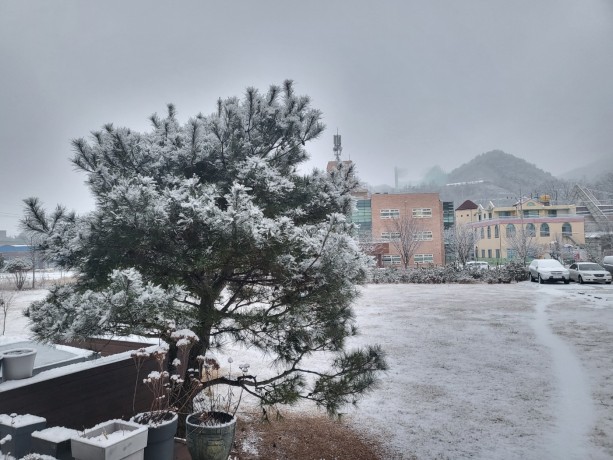 첨부이미지