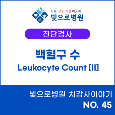 첨부이미지