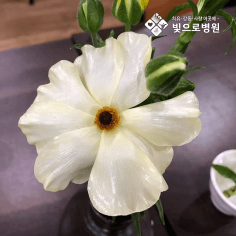 첨부이미지