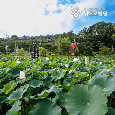 첨부이미지