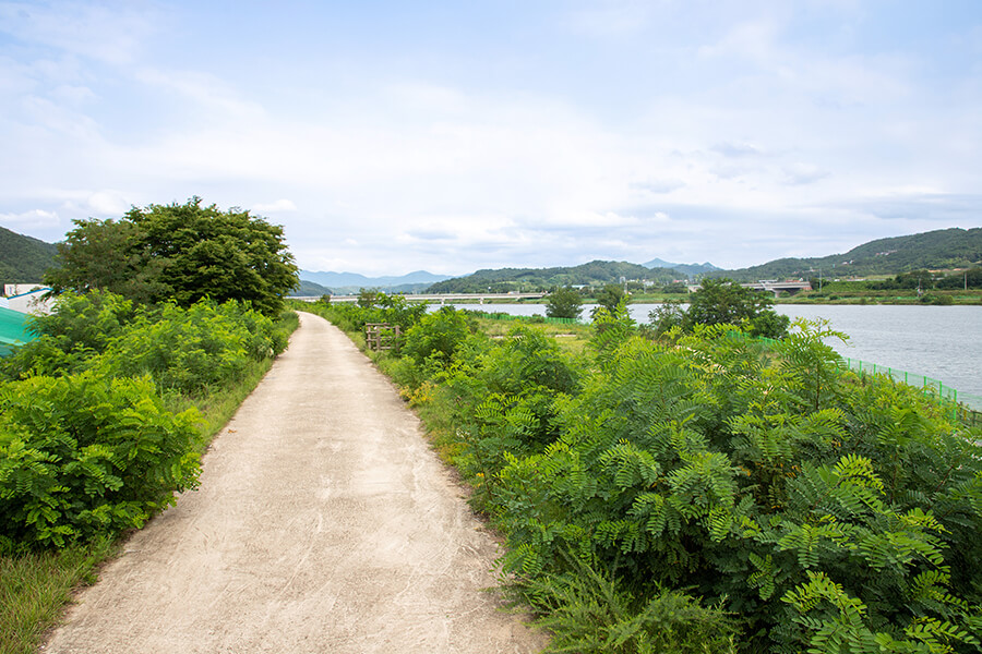 병원 외경