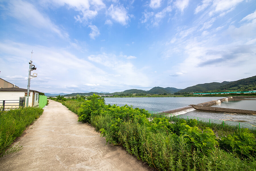 병원 외경